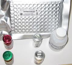 HSV-1 IgA ELISA Kit HSV-1 IgA ELISA Kit