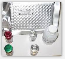 Relaxin ELISA kit Relaxin ELISA kit