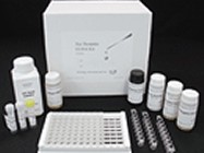  FGF-9 ELISA Kit
