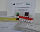 Deoxynivalenol(DON) ELISA Kit