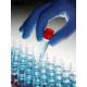 Anti-ACVR2B/ACTR-IIB 