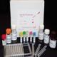 Eotaxin-3 ELISA Kit
