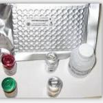 5-NT ELISA kit