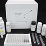 ApoA4 ELISA Kit
