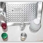 BAP ELISA kit