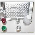 CER ELISA kit