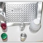 CICP ELISA kit