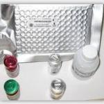 Calcitonin ELISA kit