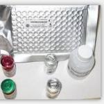 E-Cadherin ELISA kit