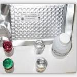 Elastase ELISA kit
