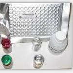 HLAMP2 ELISA kit