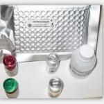 HumanSvcam-1 ELISA kit