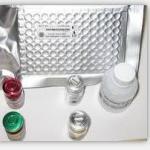 IGFBP ELISA kit
