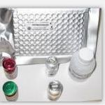 LYS ELISA kit