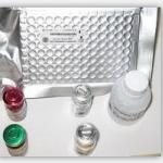 Lgf-1 ELISA kit