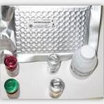 Lysozyme ELISA kit