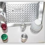 Relaxin ELISA kit