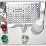 TGF-β4 ELISA kit