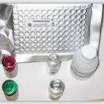 Thromboxane B2 ELISA kit
