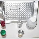hPL ELISA kit