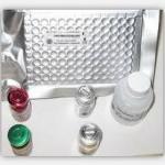 sPECAM-1 ELISA kit