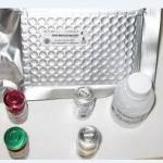 sp53 ELISA kit